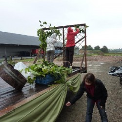 Opbouw Wagen in de regen - Toneelvereniging Plankenkoorts 